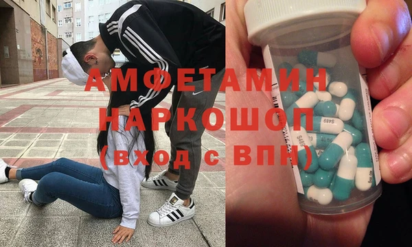 сатива Алзамай