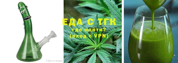 хмурый Аркадак