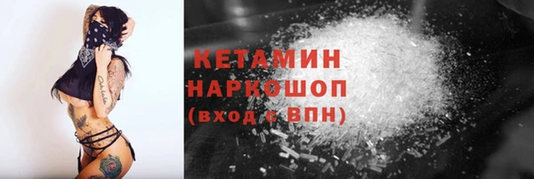 хмурый Аркадак