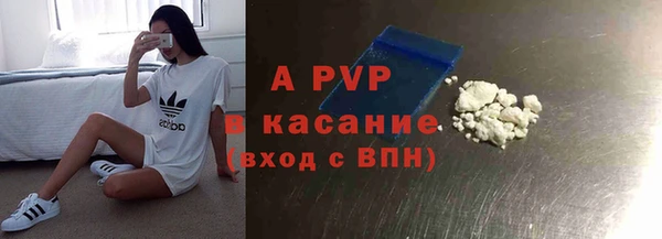 хмурый Аркадак