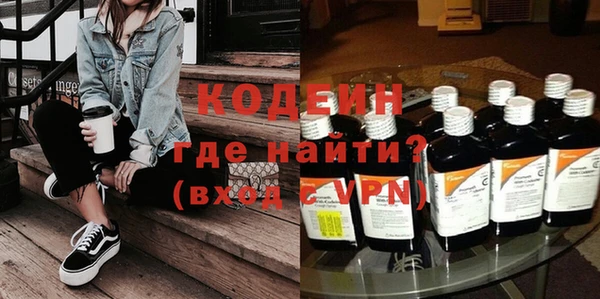 хмурый Аркадак