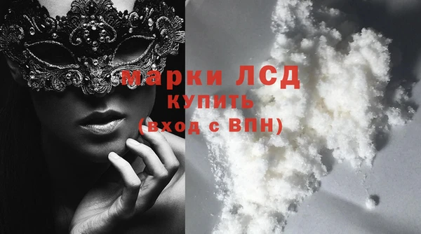 сатива Алзамай
