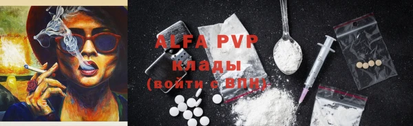 хмурый Аркадак