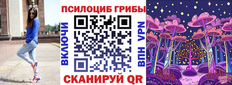 Псилоцибиновые грибы MAGIC MUSHROOMS  купить наркоту  Электрогорск 