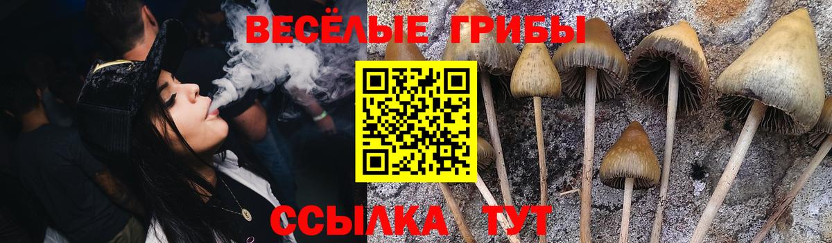 Галлюциногенные грибы мухоморы  Вход с VPN  Электрогорск 